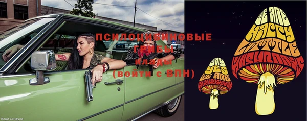 дурь Белокуриха