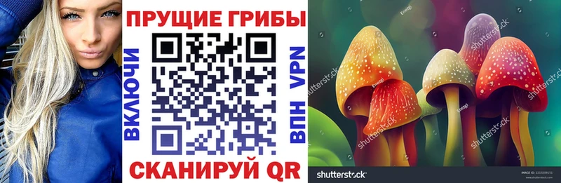 Псилоцибиновые грибы мухоморы  Полесск 